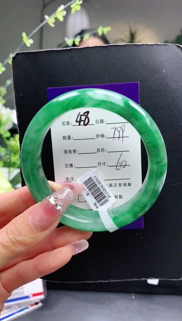 【闪购商品】石英质玉手镯未镶嵌序号48圈口60