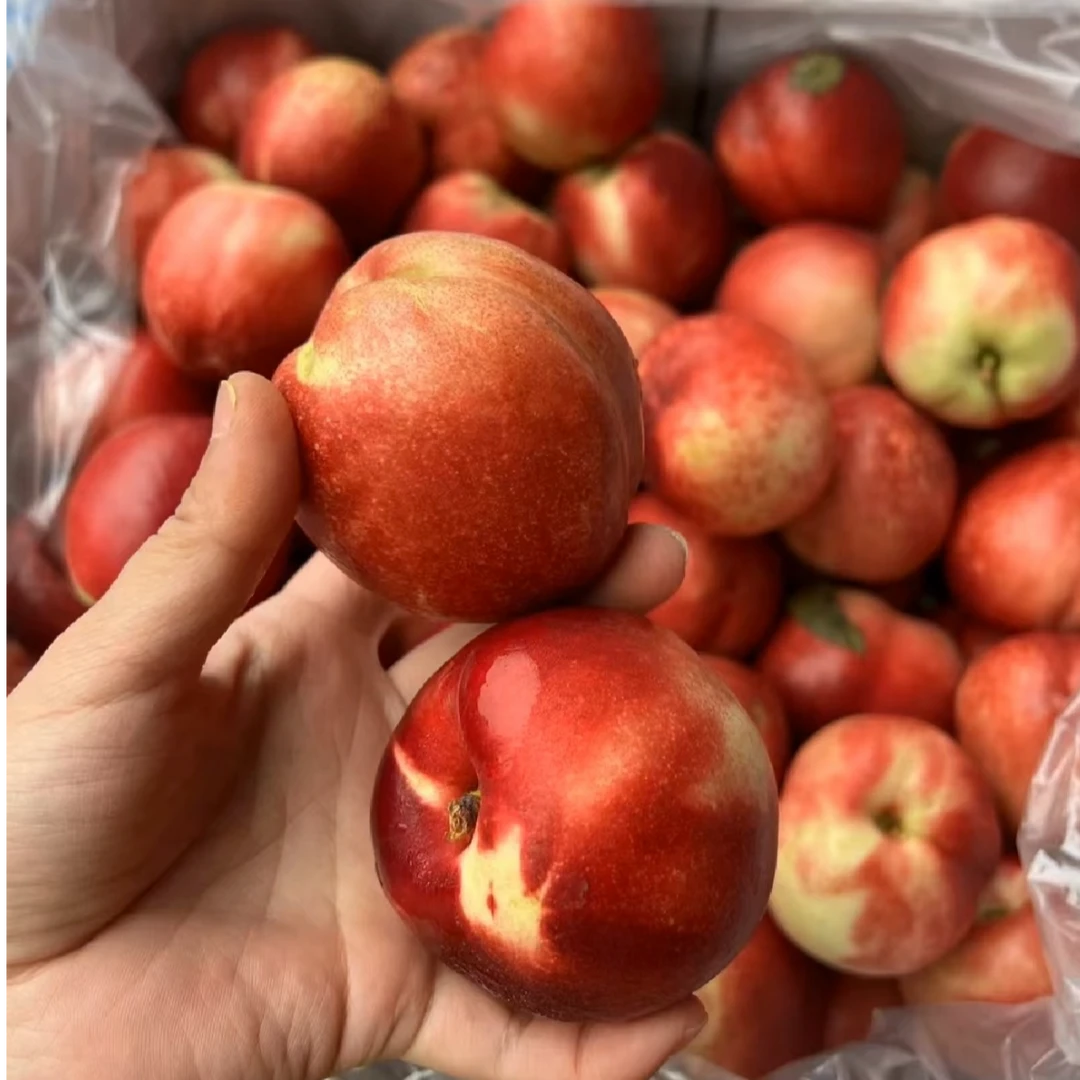 智利油桃，五斤装，硬脆甜