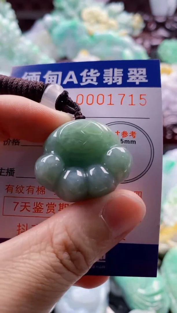 吊坠(不含链)未镶嵌翡翠1