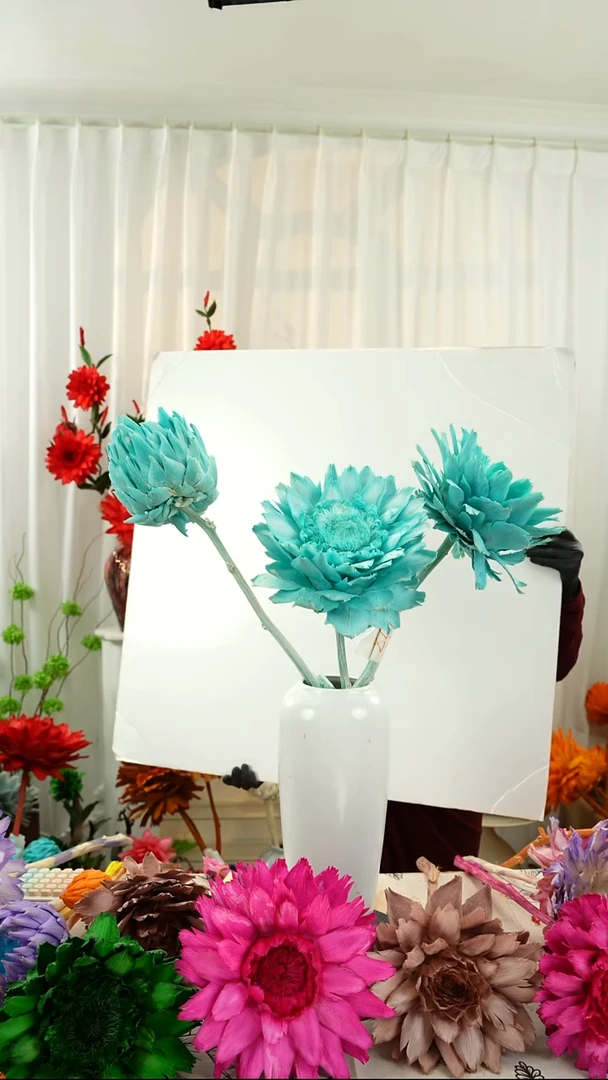 永生洋蓟霸王花3个头叶片微瑕【蒂芙尼蓝】A36