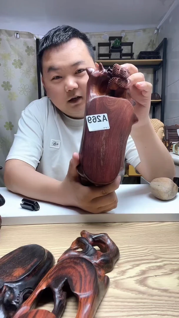 木269------------