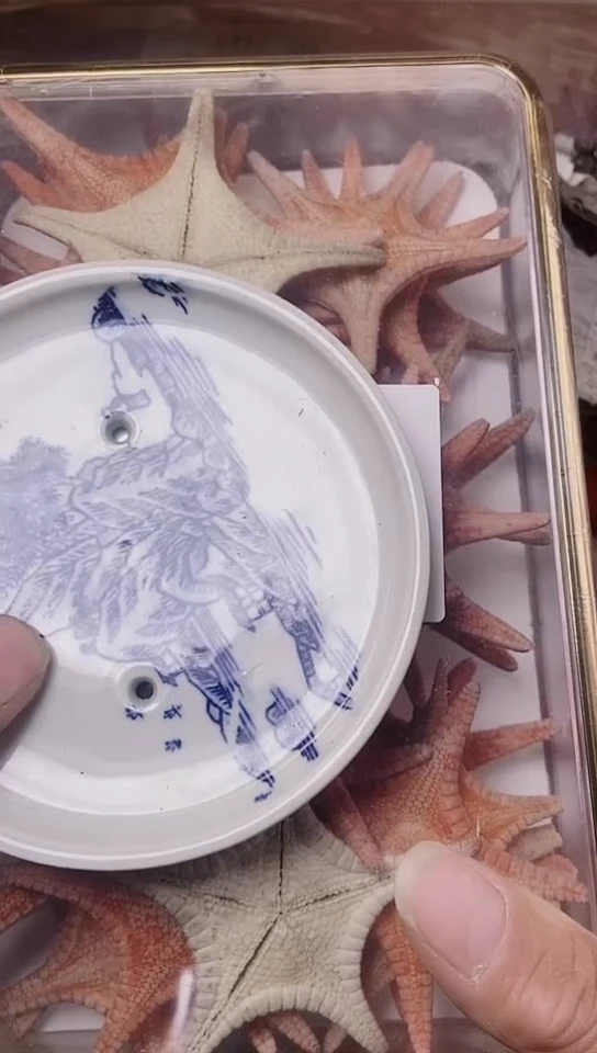 【闪购商品】默认工艺品美术品