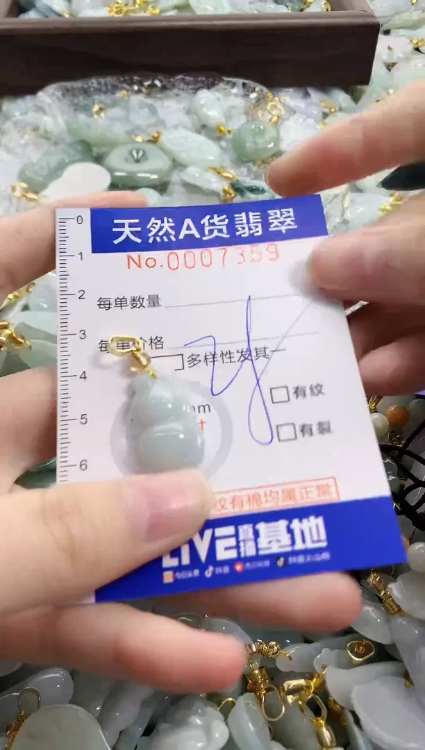 颈饰未镶嵌翡翠天然A货翡翠