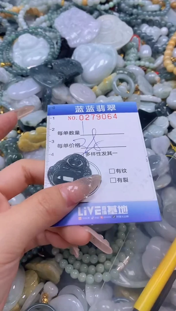 翡翠未镶嵌颈饰闪购0279064多样性发其一