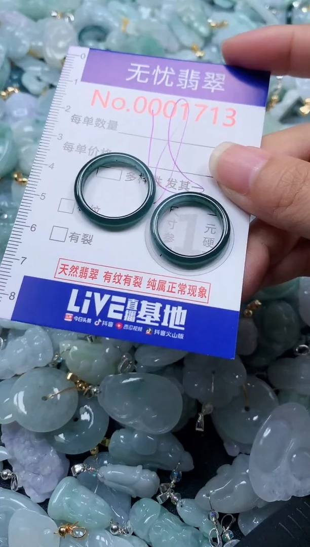 颈饰未镶嵌翡翠1713