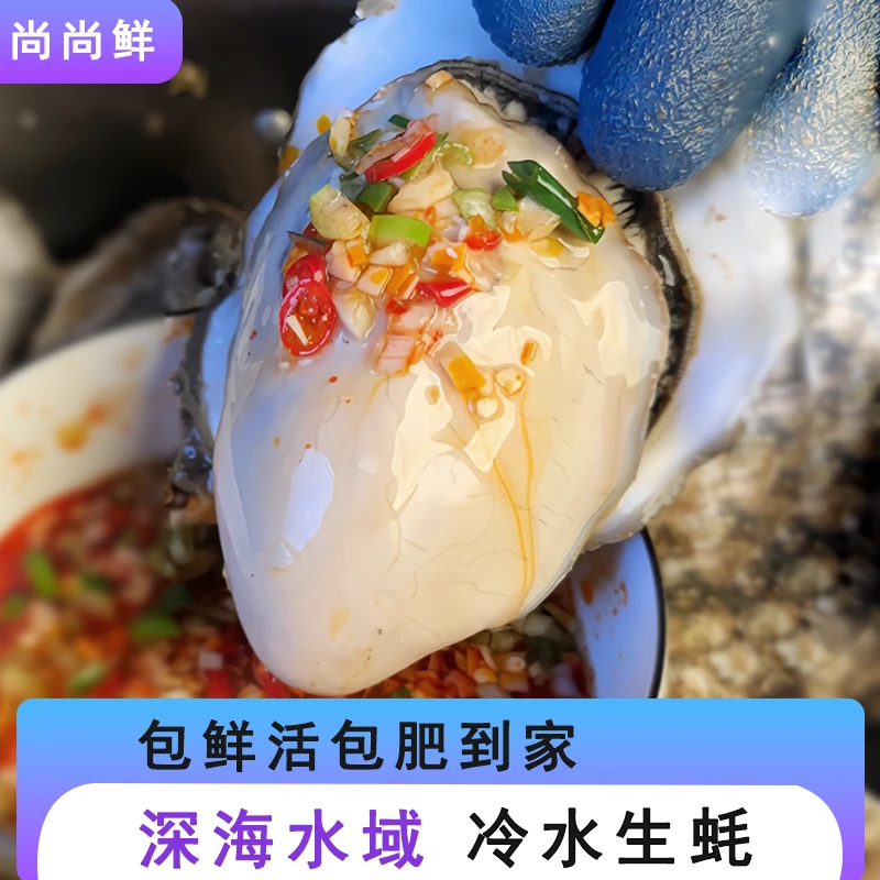山东鲜活生蚝 大小一个价 山东深海现捞现发特大肥美海蛎子5/10斤