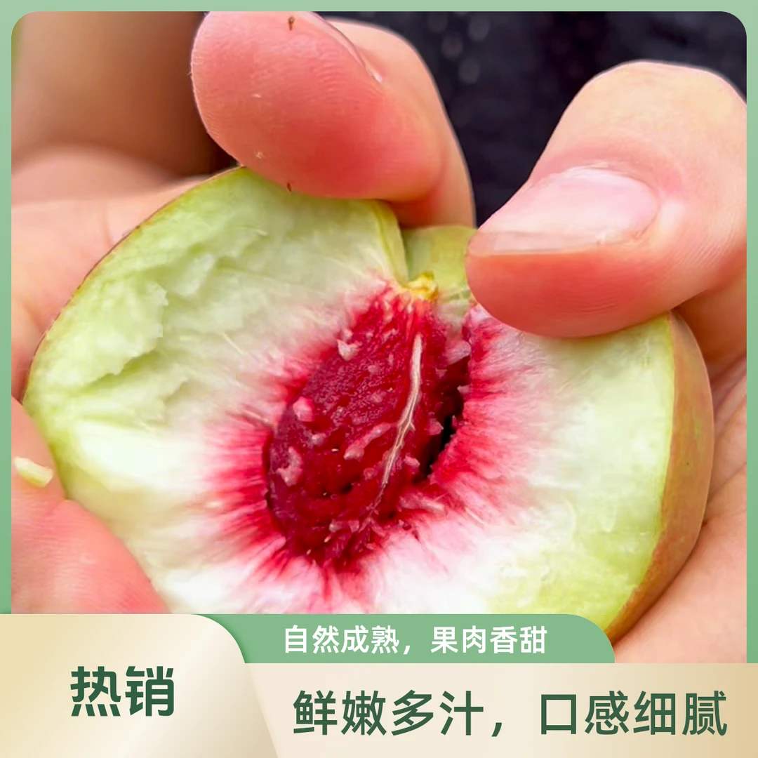 【小时候的味道】山东青州蜜桃 离核脆桃 山野小脆桃 大自然的味道 脆甜多汁 山东省山东省