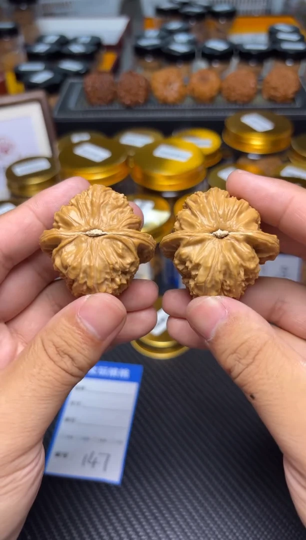 文玩核桃把件147白狮子41