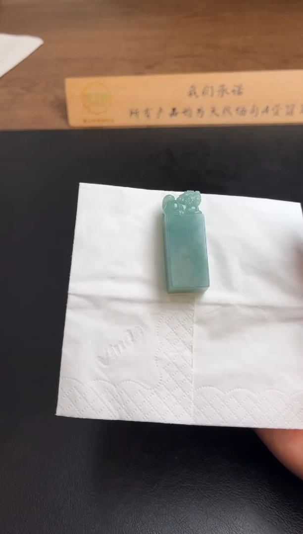 【闪购商品】翡翠颈饰未镶嵌翡翠