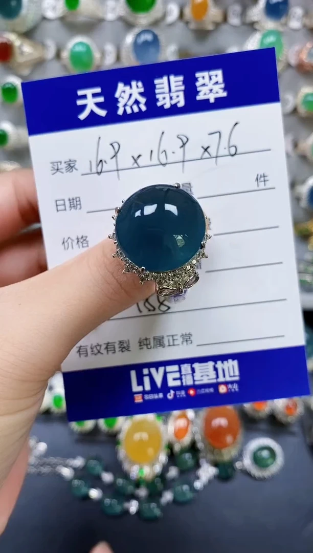 翡翠未镶嵌颈饰455