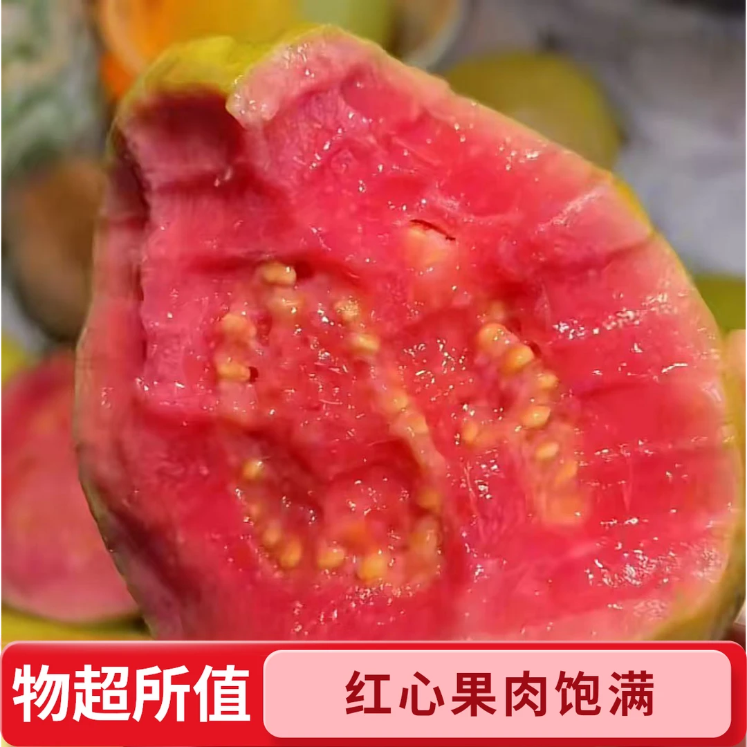 广东潮汕树上熟红心白心芭乐脆甜口感新鲜水果