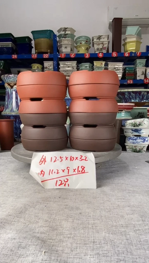 91913十二只椭圆
