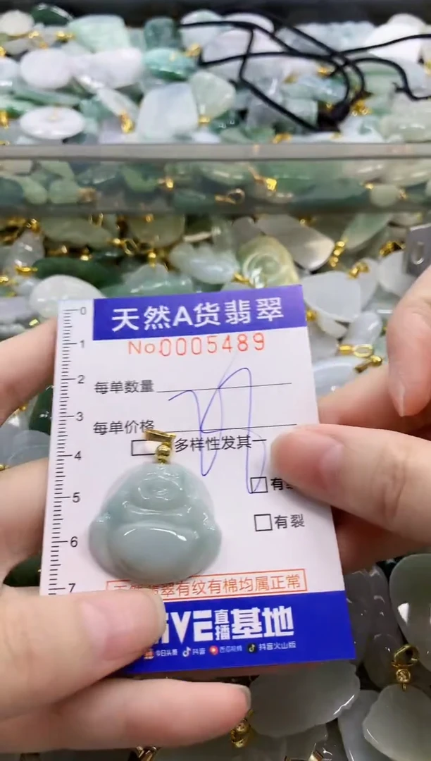 颈饰未镶嵌翡翠纯天然a货翡翠