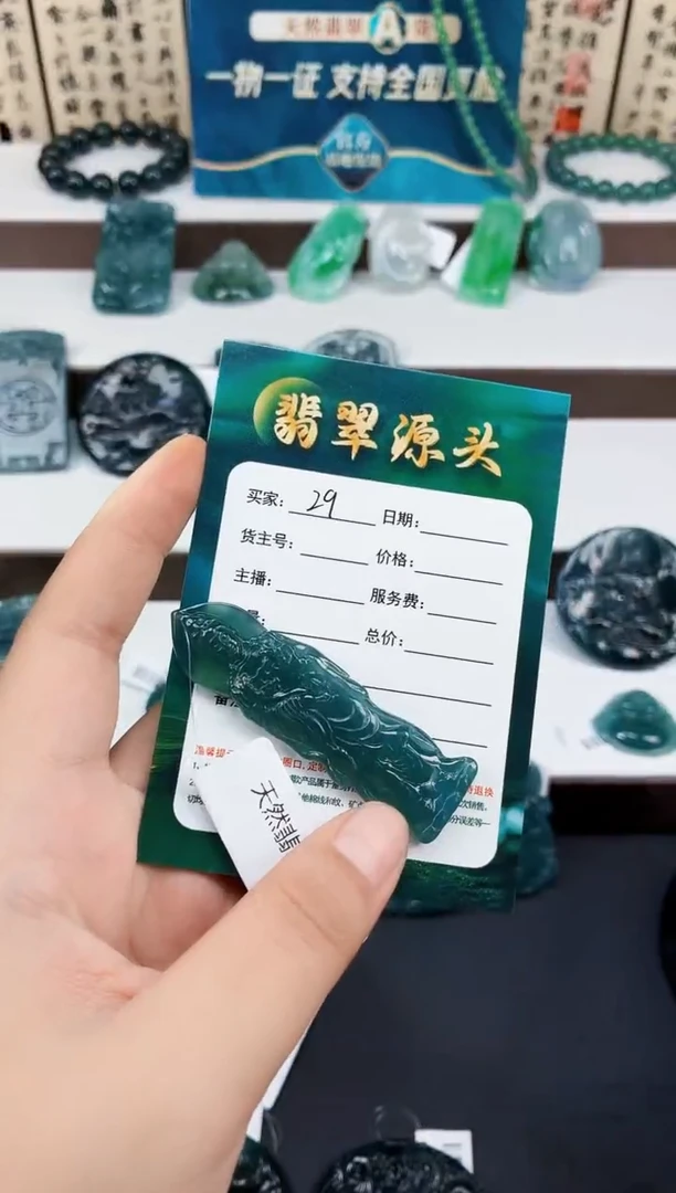翡翠未镶嵌颈饰DLZ25072529