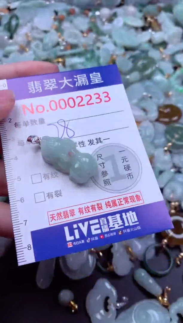 吊坠(不含链)未镶嵌翡翠2233