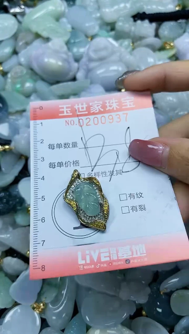 【闪购商品】翡翠颈饰未镶嵌闪购0200937