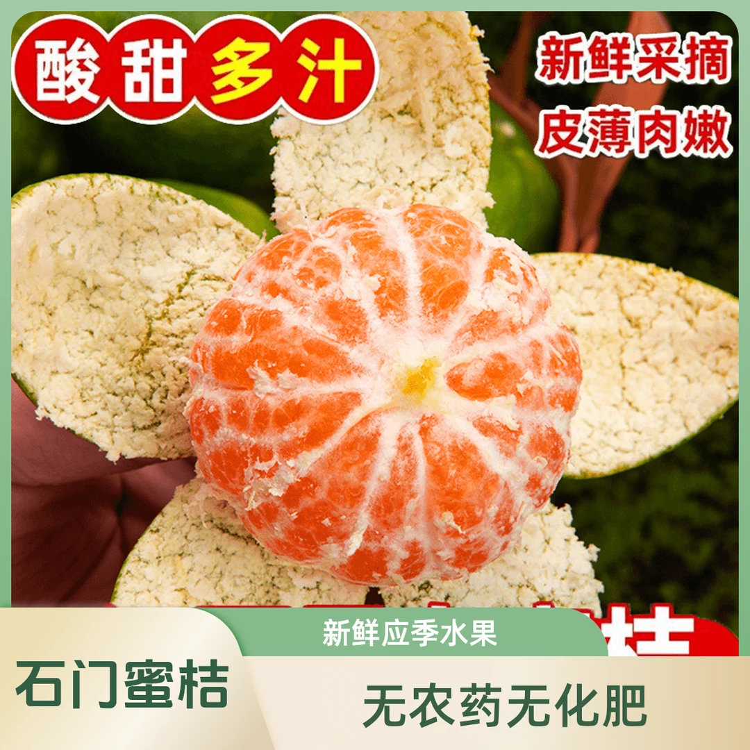 【普通快递】【早熟蜜桔之乡】【石门秀坪蜜橘】现摘现发无籽青皮5/10斤