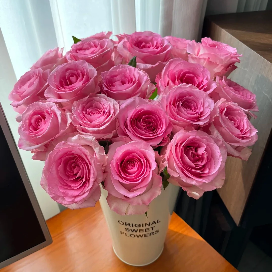 洛神玫瑰花（20枝，损坏4枝不售后）B级