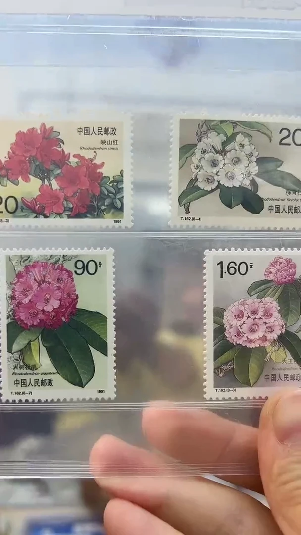 T162  杜鹃花邮票套票  中钱评级