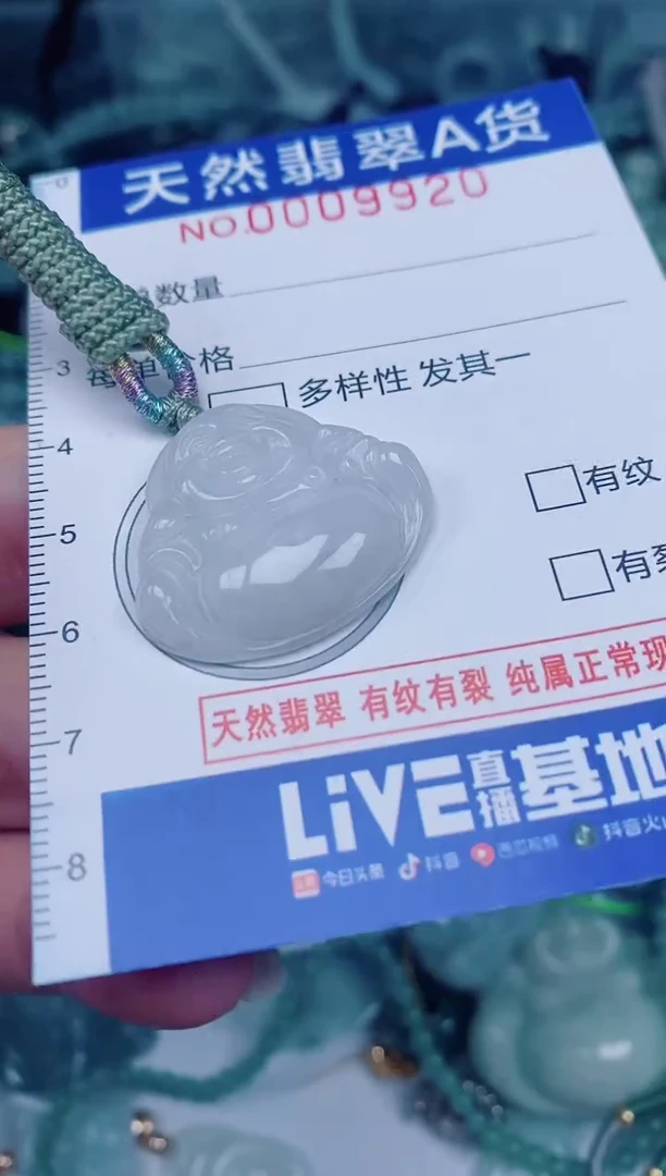 颈饰未镶嵌翡翠00009920