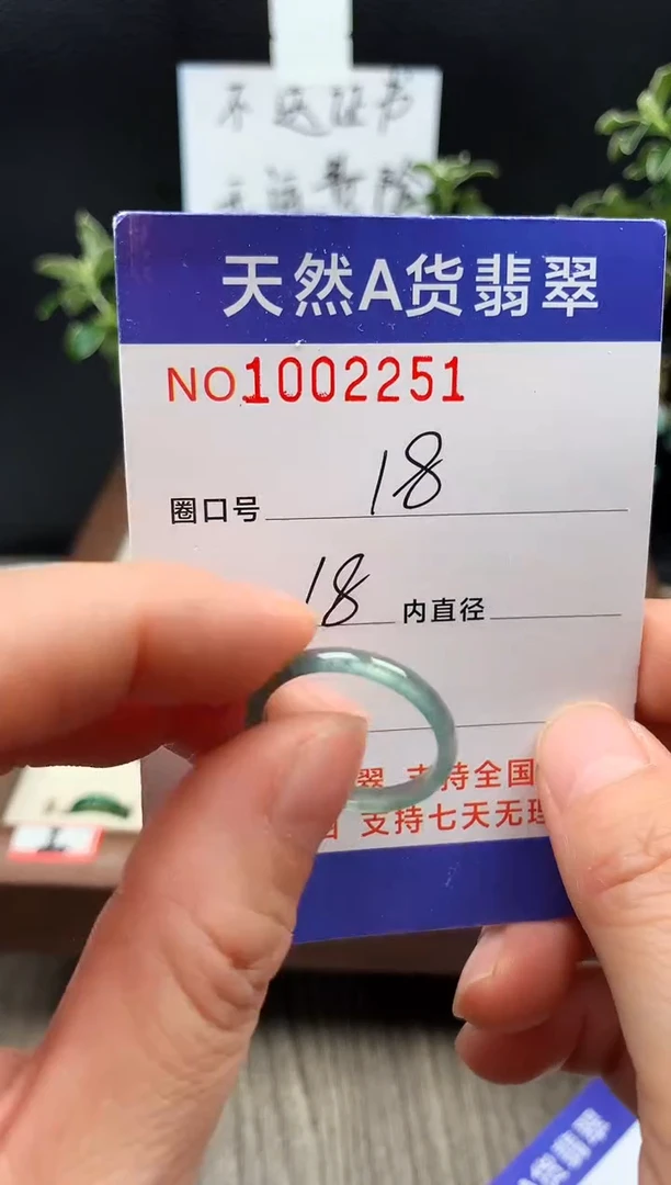 未镶嵌戒指翡翠18#