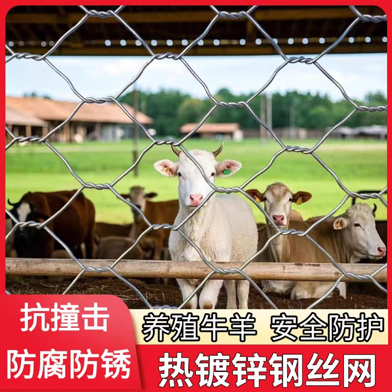 六角网拧花网铁丝网围栏钢丝网防护隔离网护坡镀锌防锈加粗石笼网