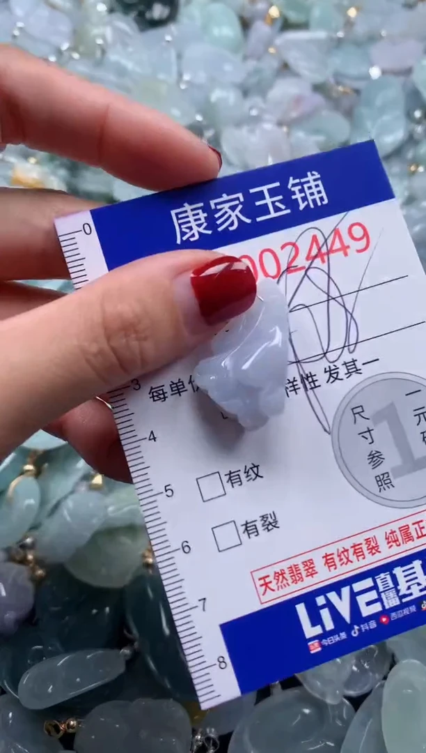 颈饰未镶嵌翡翠2449
