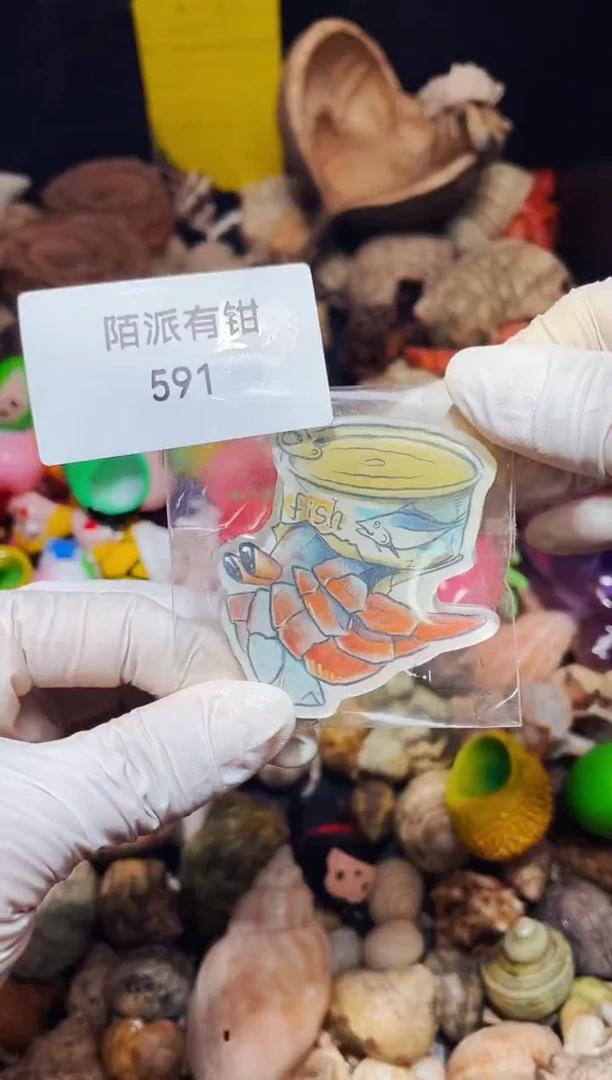 陌派有钳寄居蟹591