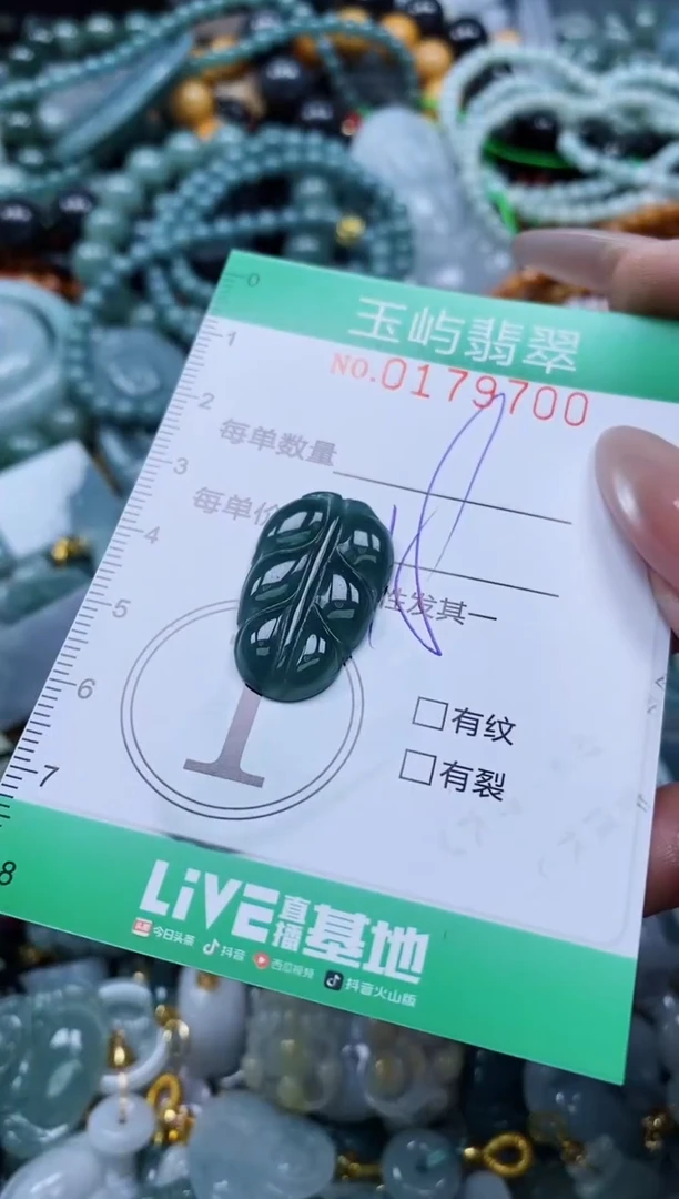 翡翠未镶嵌颈饰闪购0179700
