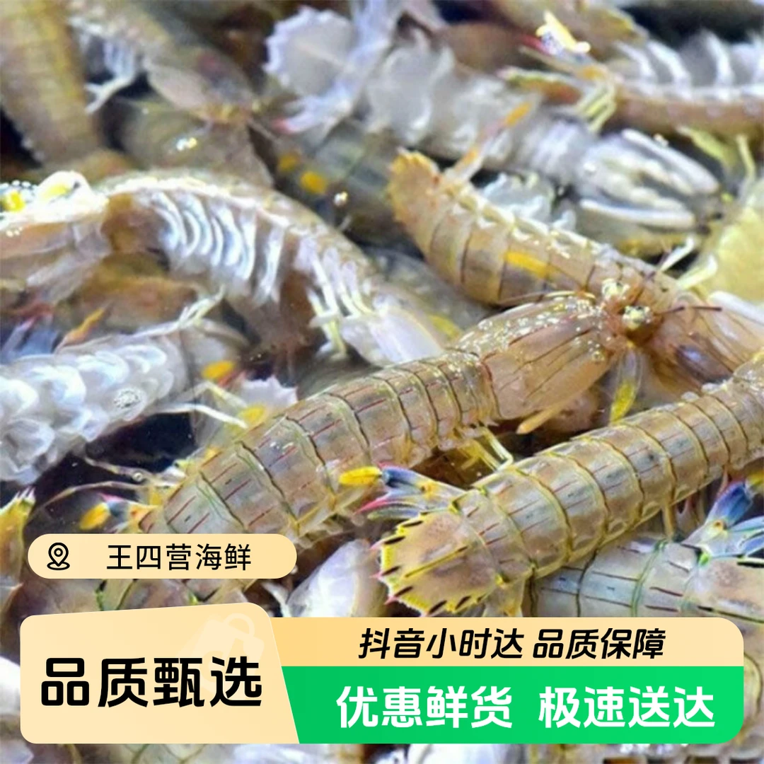鲜活皮皮虾+蟹混搭装(个别掉腿属于正常,保鲜不包活)大虾同城送