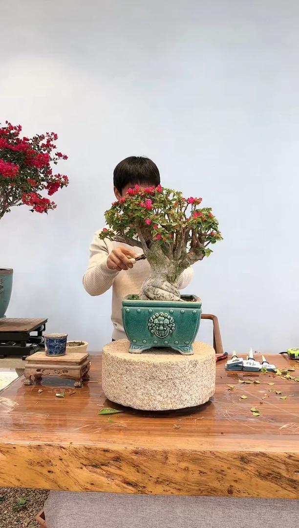 【闪购商品】AA908