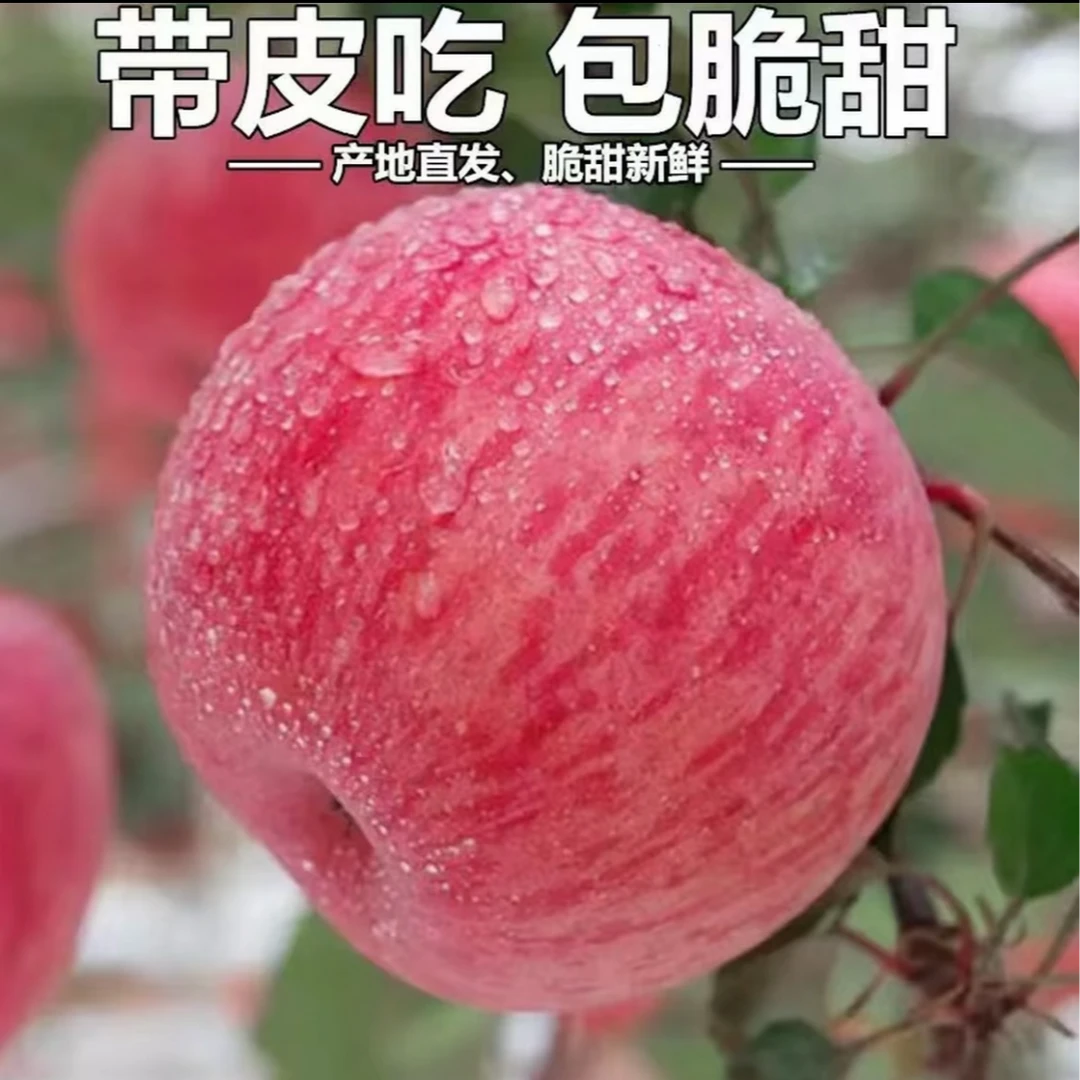 【买五斤送五斤】陕西高山红富士新鲜苹果皮薄肉厚脆甜可口产地直发