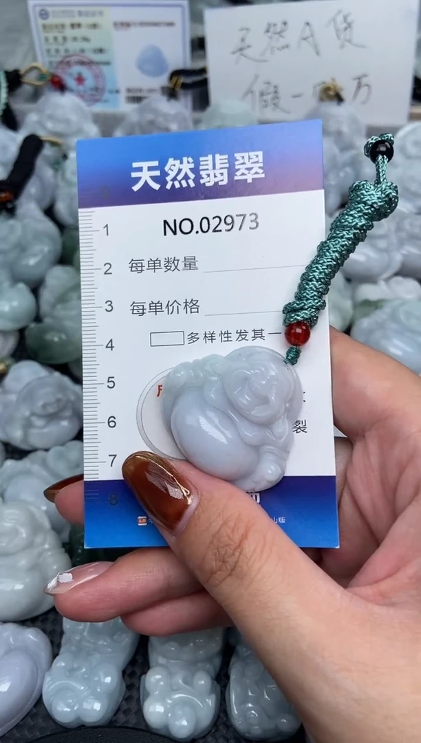 颈饰未镶嵌翡翠纯天然A货翡翠2973