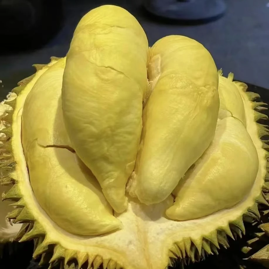 鲜榴莲1-3斤特价核小不售后金枕泰国