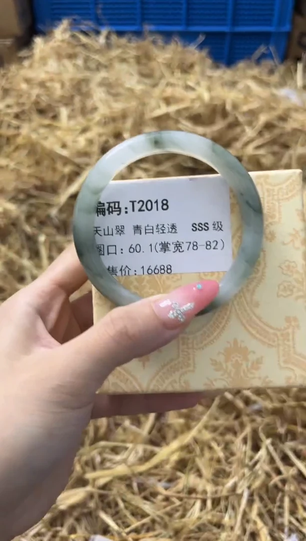 未镶嵌手镯石英质玉T2018