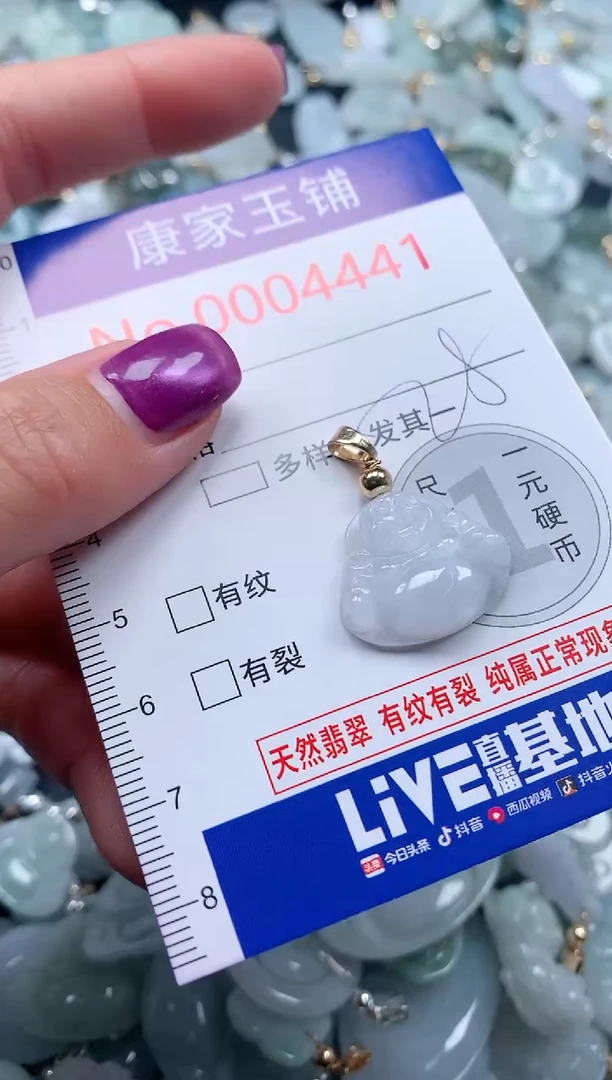 颈饰未镶嵌翡翠4441