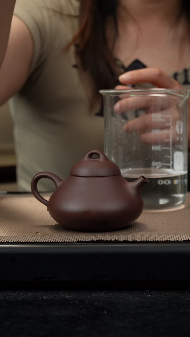 茶壶紫砂紫泥东坡瓢180