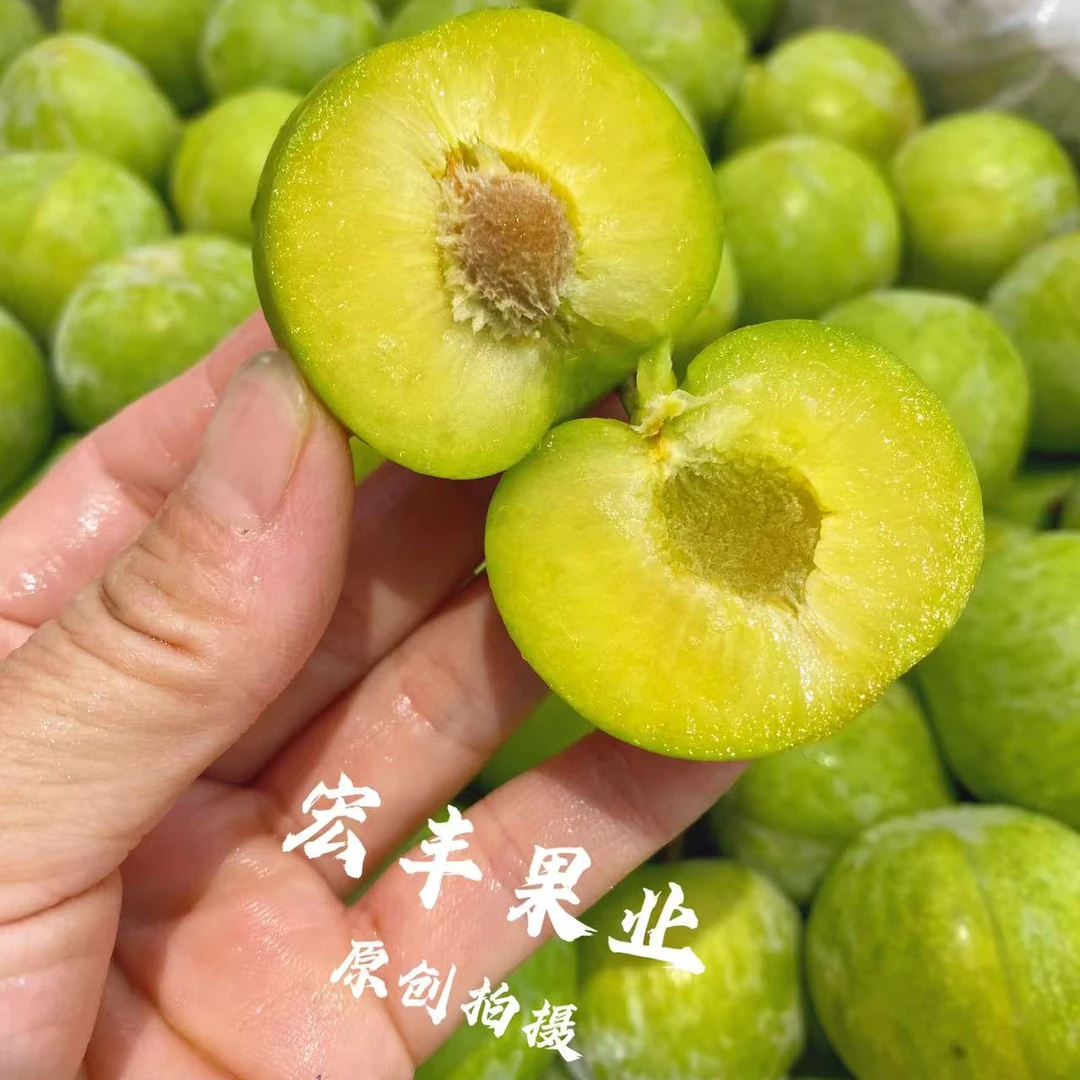 青脆李李子2斤装