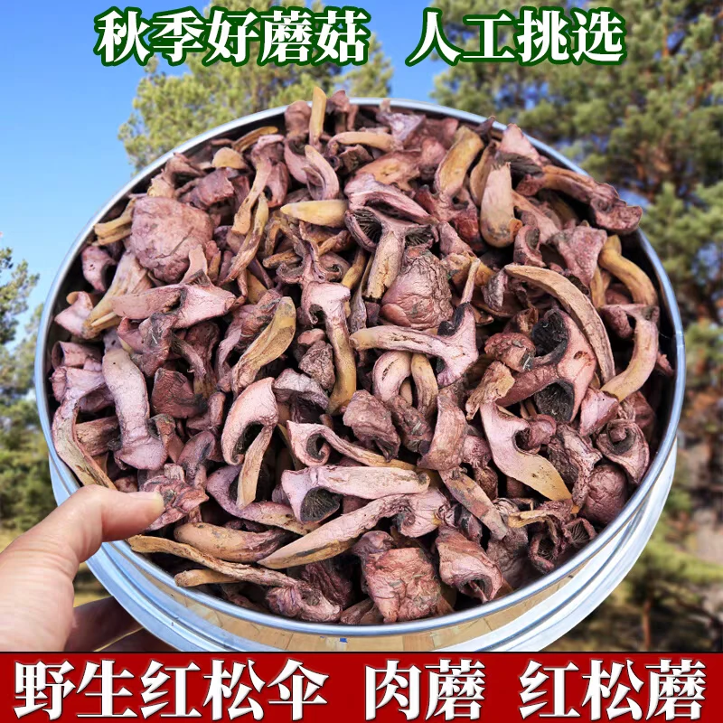 东北野生松树伞蘑菇干货特产   半斤包邮