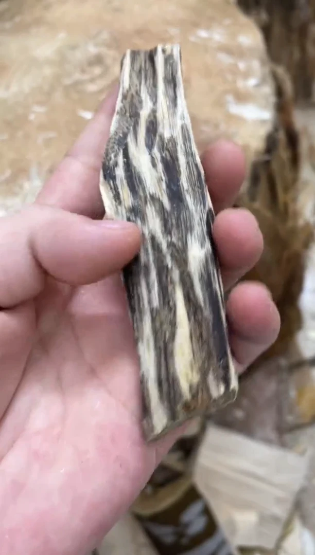 沉香沉香碎屑棋楠沉香 原料文创1