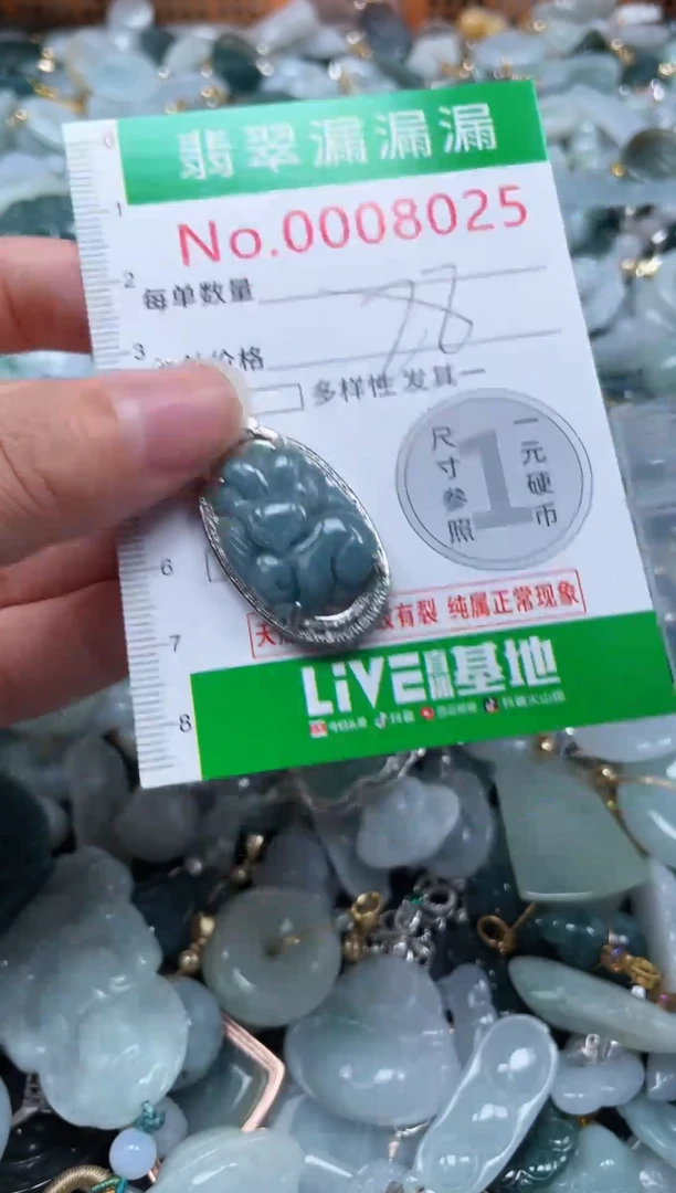 颈饰未镶嵌翡翠8025