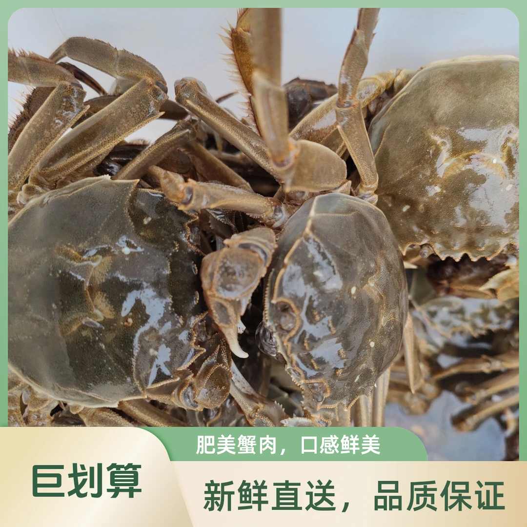【鲜活】河蟹公3.2两-2.9两母混装3.2两-2.9两/只4斤装