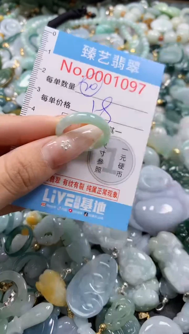 翡翠未镶嵌颈饰含绳0001097