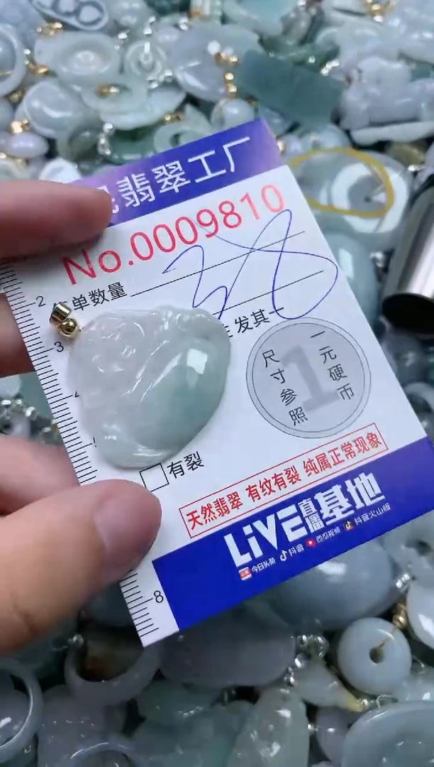 翡翠未镶嵌吊坠(不含链)9810