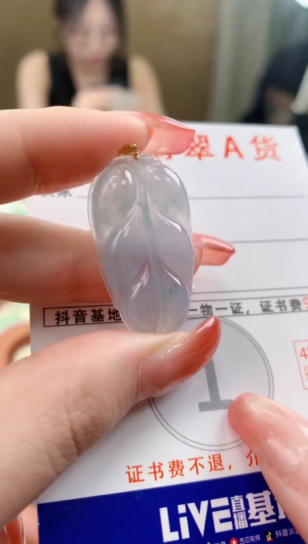 颈饰未镶嵌翡翠天然A货翡翠挂件