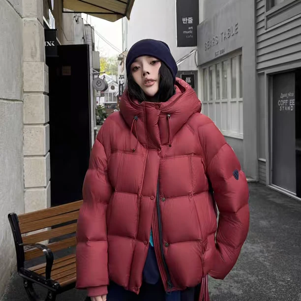 【进口品质】扶摇2025新款时尚气质加厚连帽羽绒服外套d653沐沐