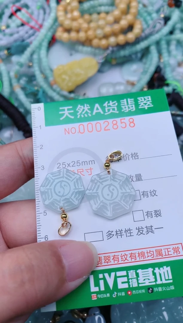 翡翠未镶嵌颈饰.0002858