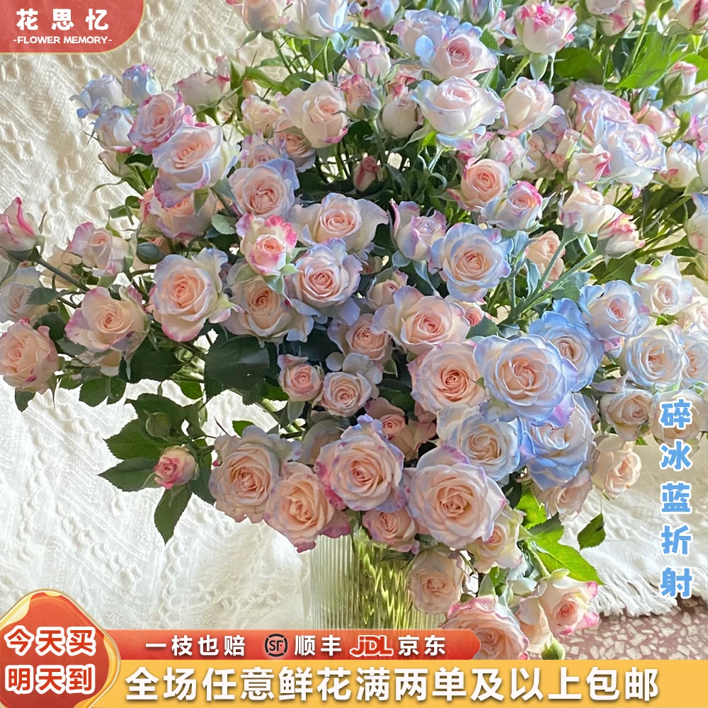 新品特价『碎冰蓝折射5枝』家用云南鲜切花 满两单鲜花顺丰京东包邮 满三单鲜花送花瓶 鲜花直播次日达包邮