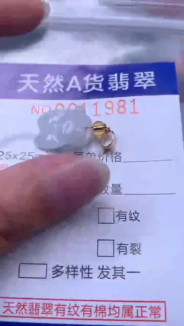 翡翠未镶嵌吊坠(不含链)1