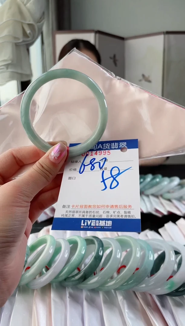 未镶嵌手镯翡翠2